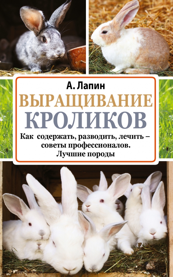 Скачать книги про кроликов